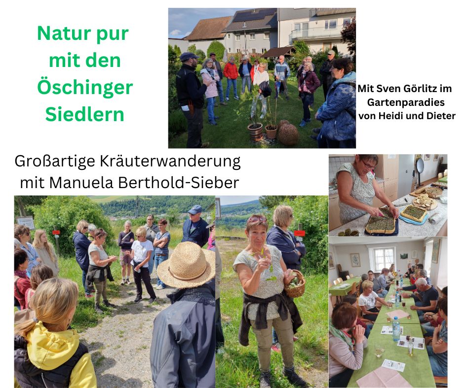 Garten und Kräuter