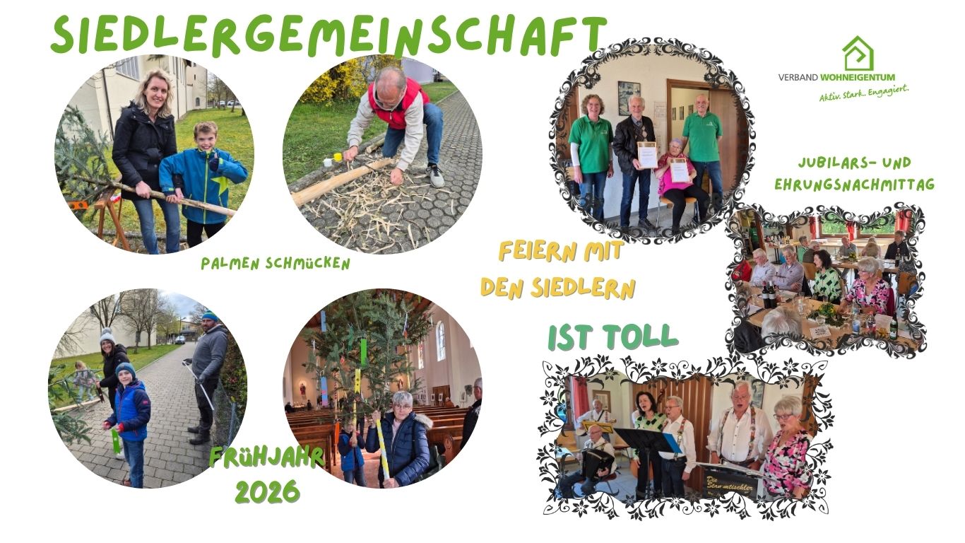 Palmen und Jubi-Feier