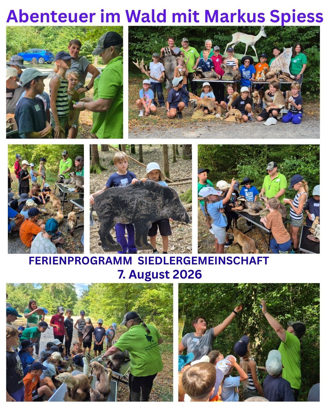 Abenteuer im Wald mit Makus Spiess