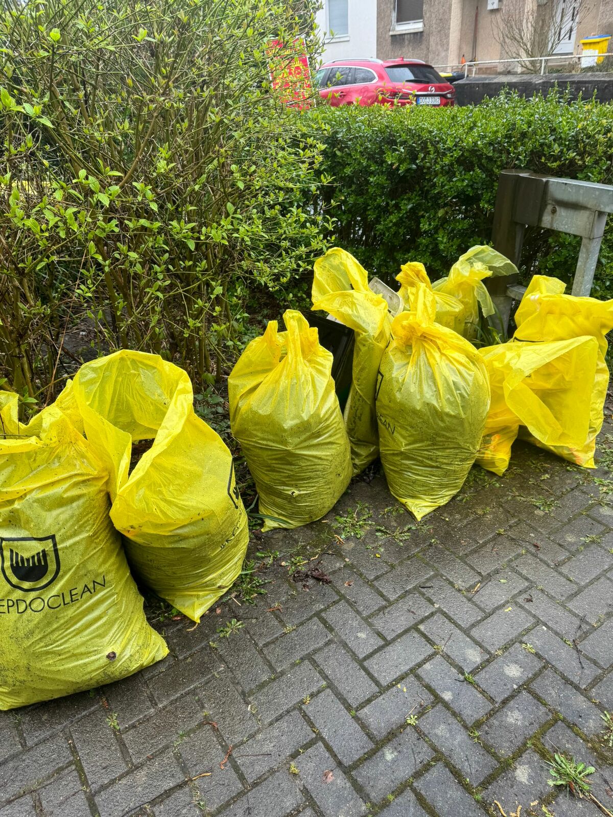 cleanup