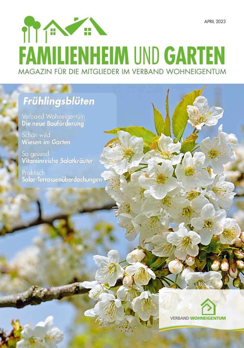 Magazin mit Gartentipps
