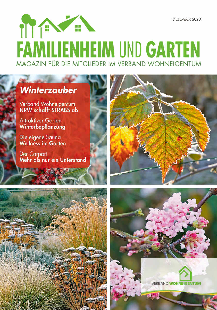 Magazin mit Tipps für den Garten im Winter