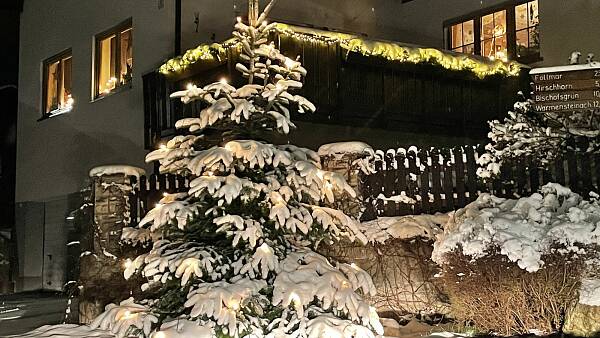 Themenbild: Weihnachtsbaum 2021