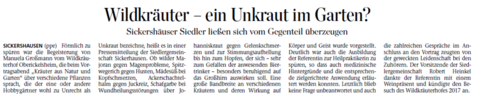 Pressebericht 