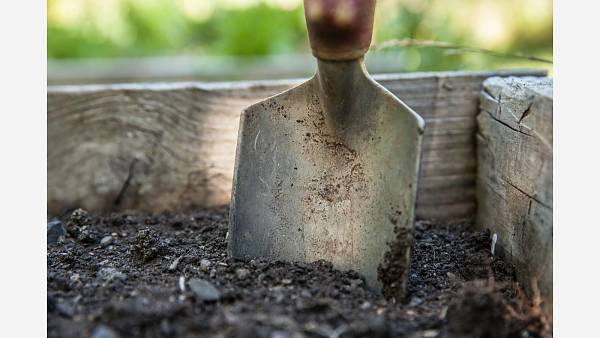 Themenbild: Gartenarbeit Spaten Erde