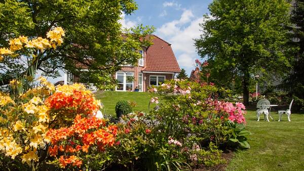 Themenbild: Gartenansicht mit blühenden Stauden