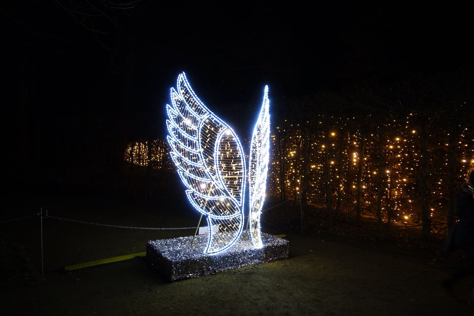 Pillnitz zur Lichterschau Chrismas Garden