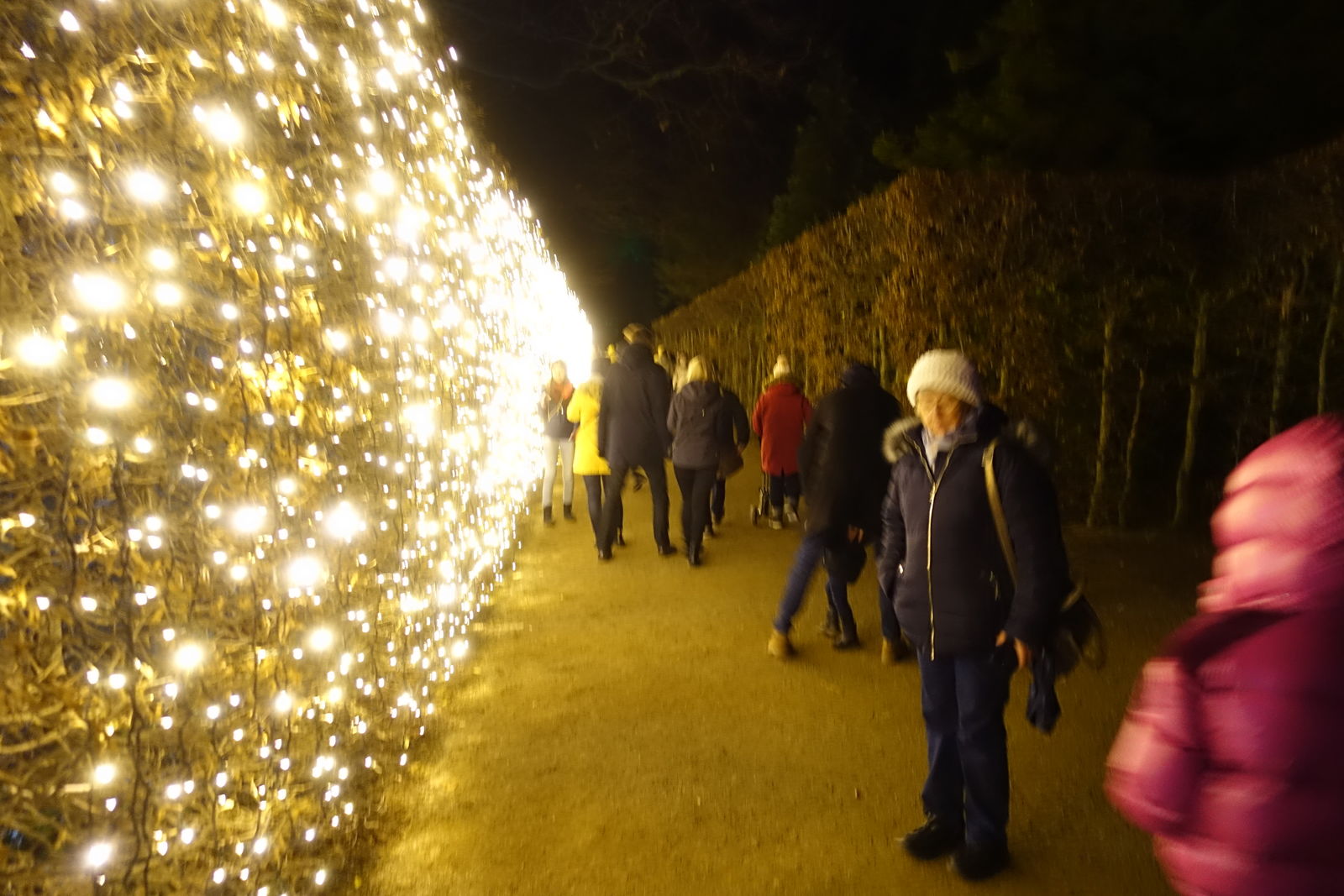 Pillnitz zur Lichterschau Chrismas Garden