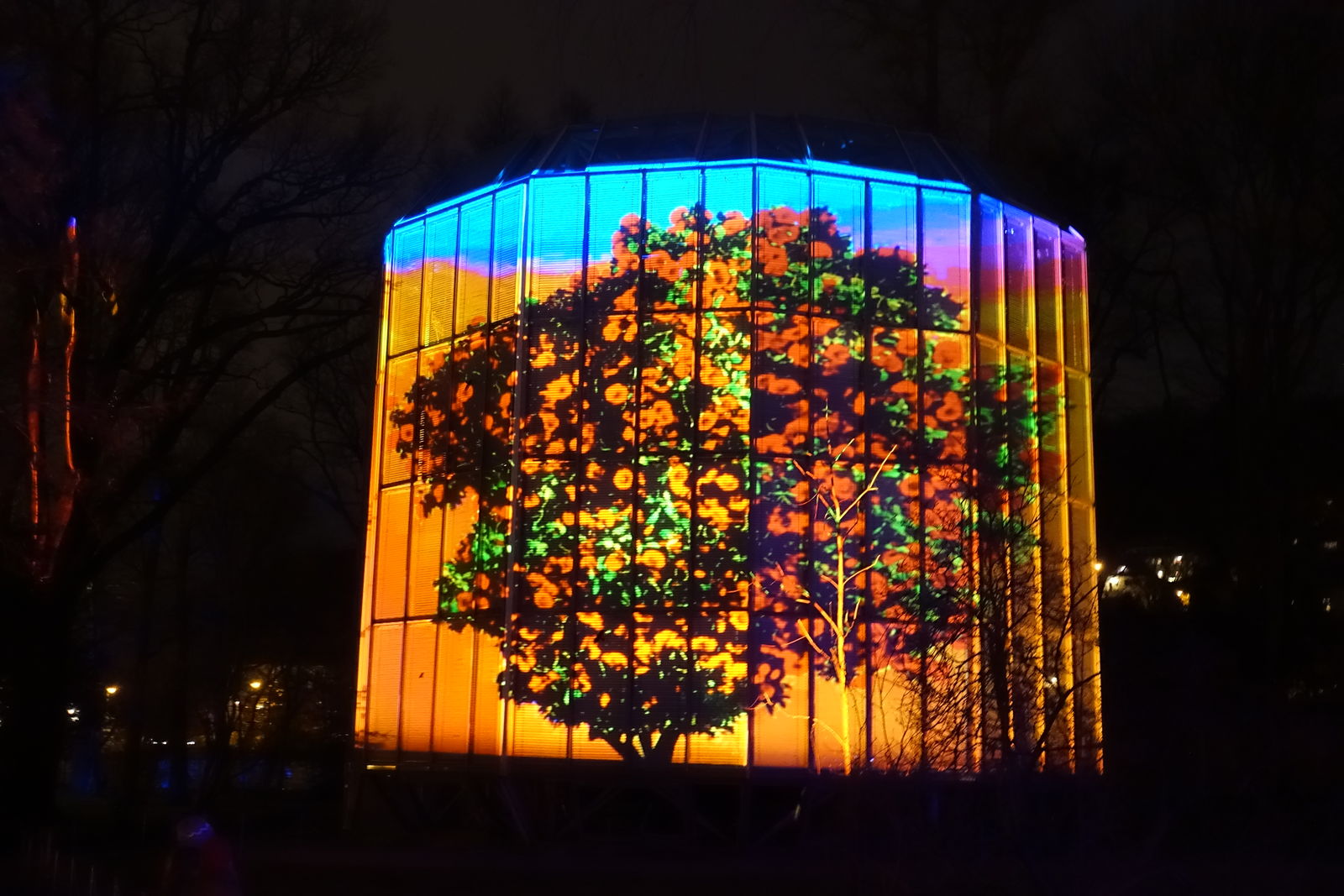 Pillnitz zur Lichterschau Chrismas Garden