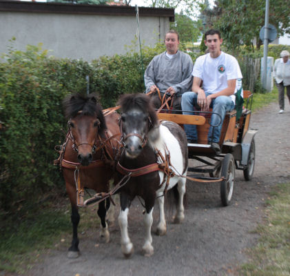 Kutschfahrt für die Kleinen