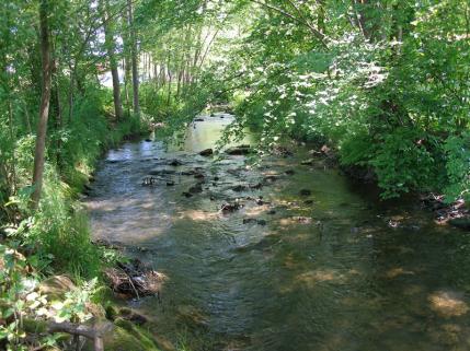 Trienzbach