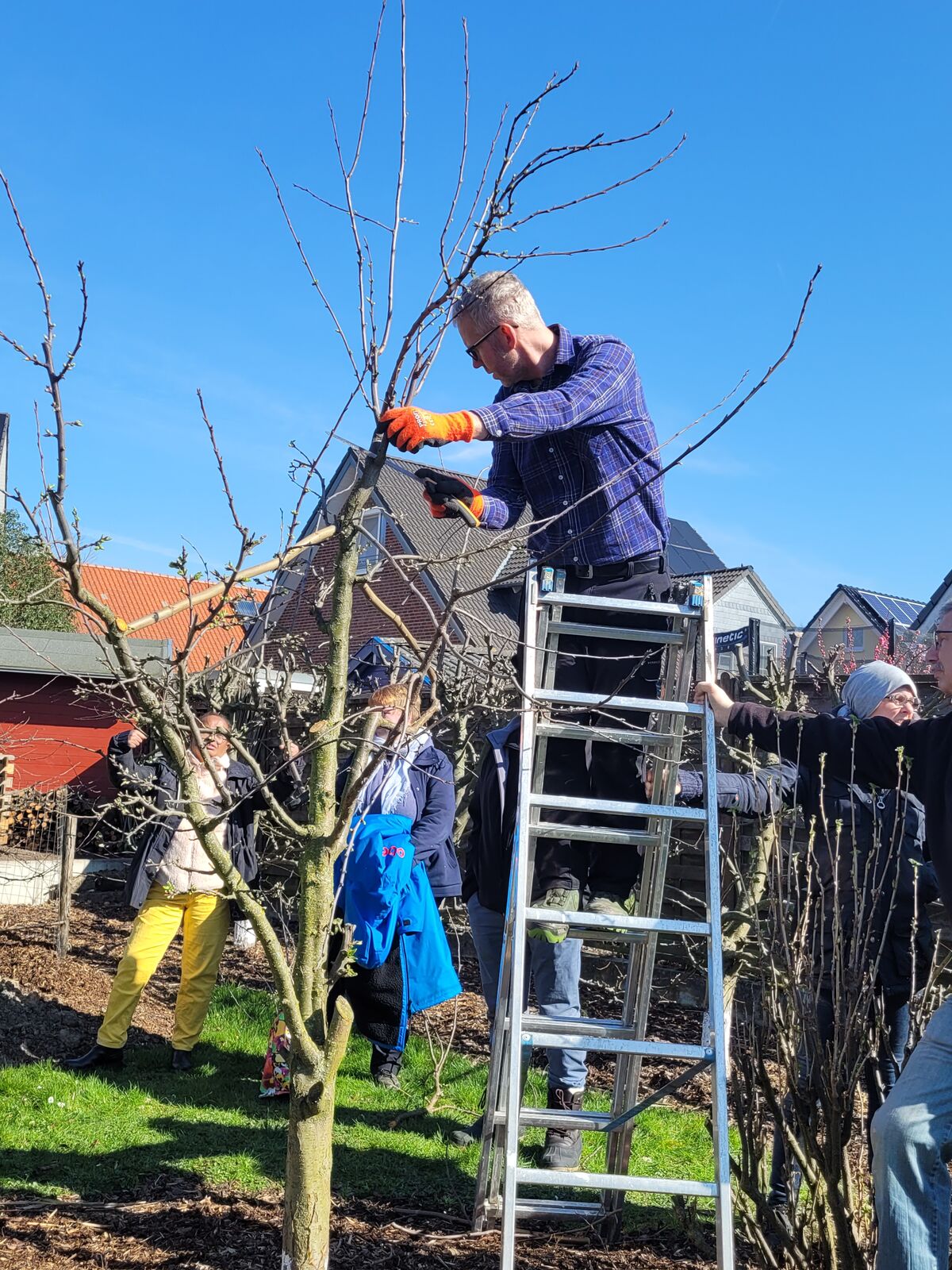 Gartenseminar