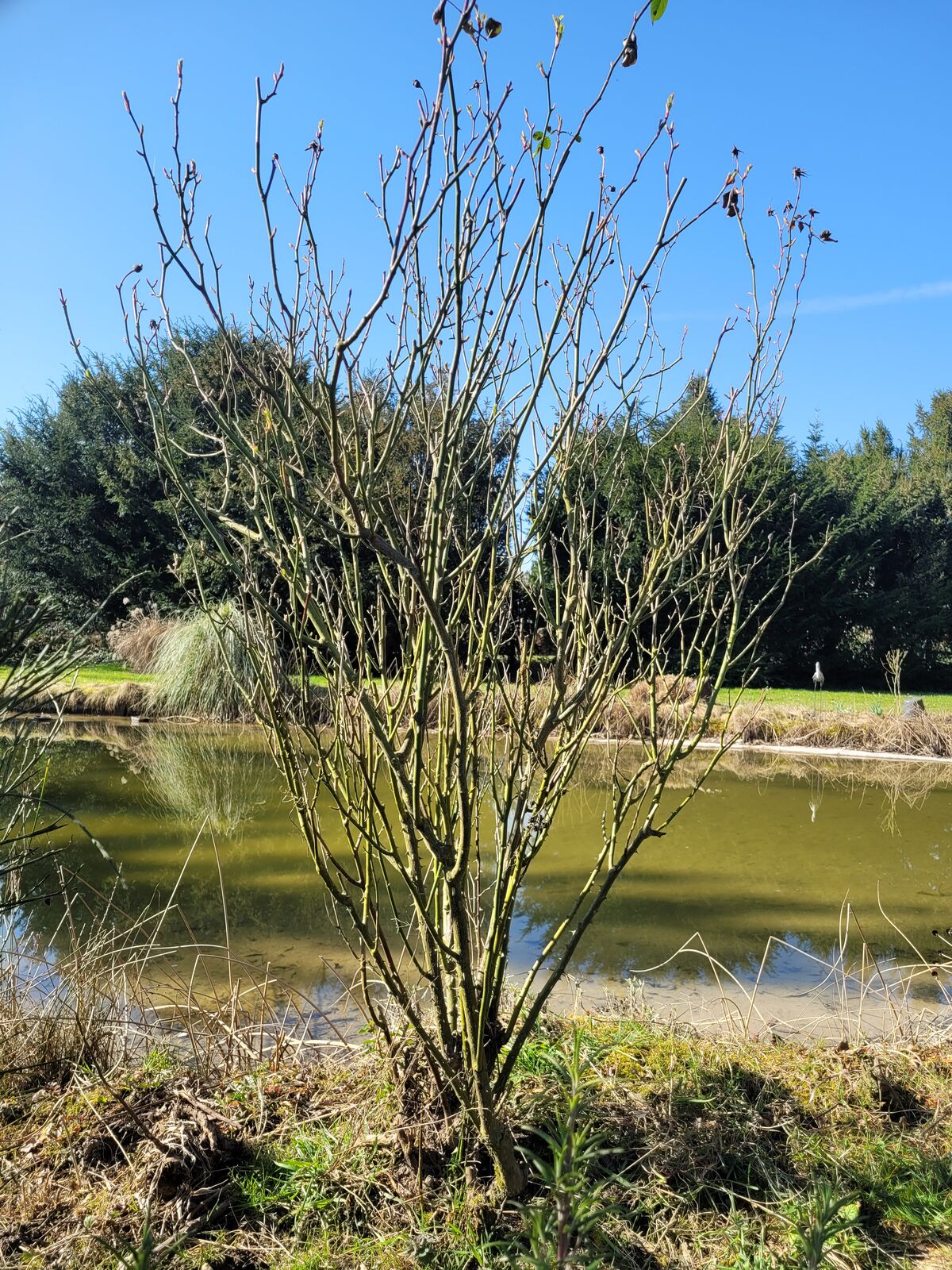 Gartenseminar 2025 8