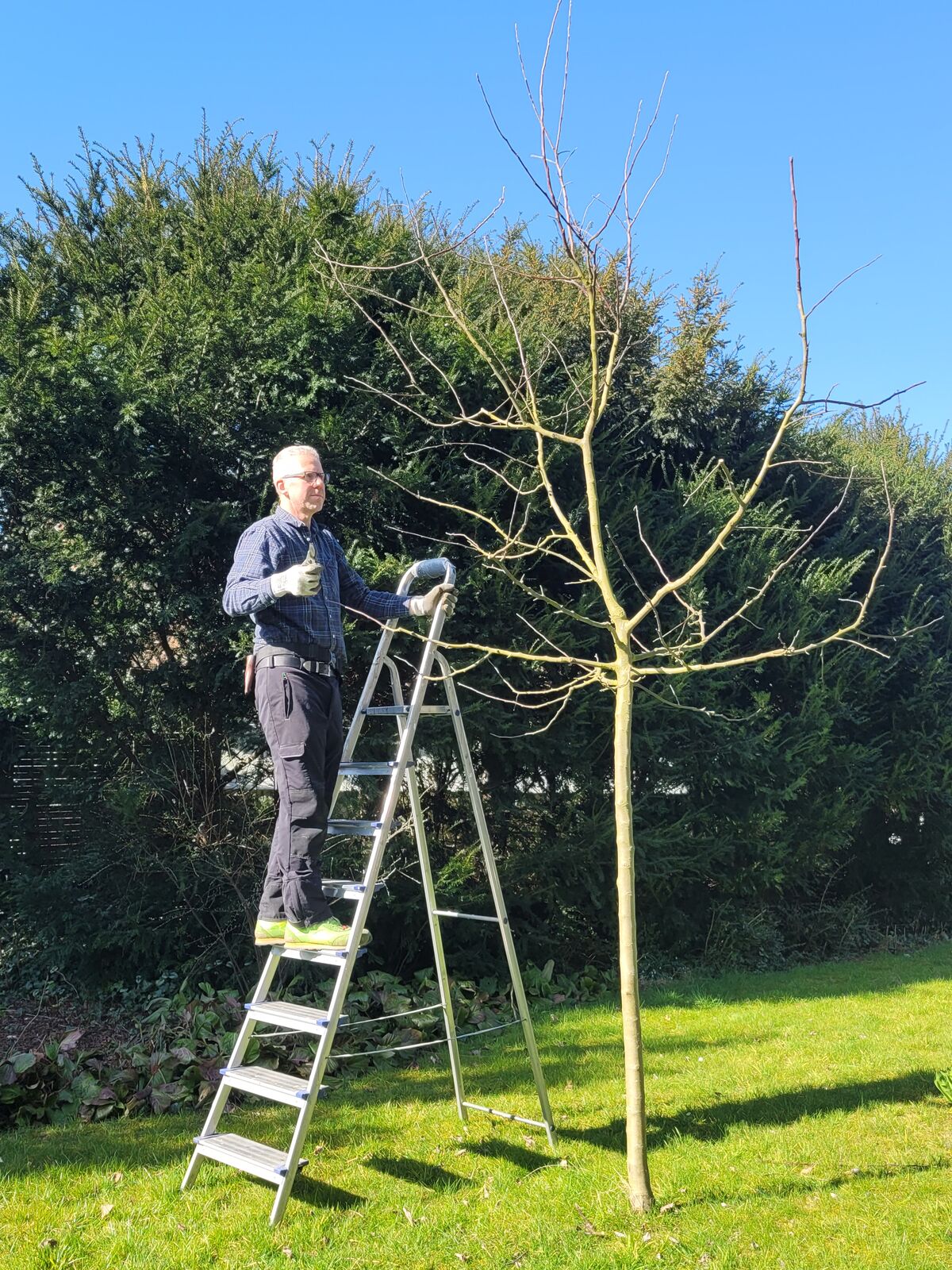 Gartenseminar 2025 11