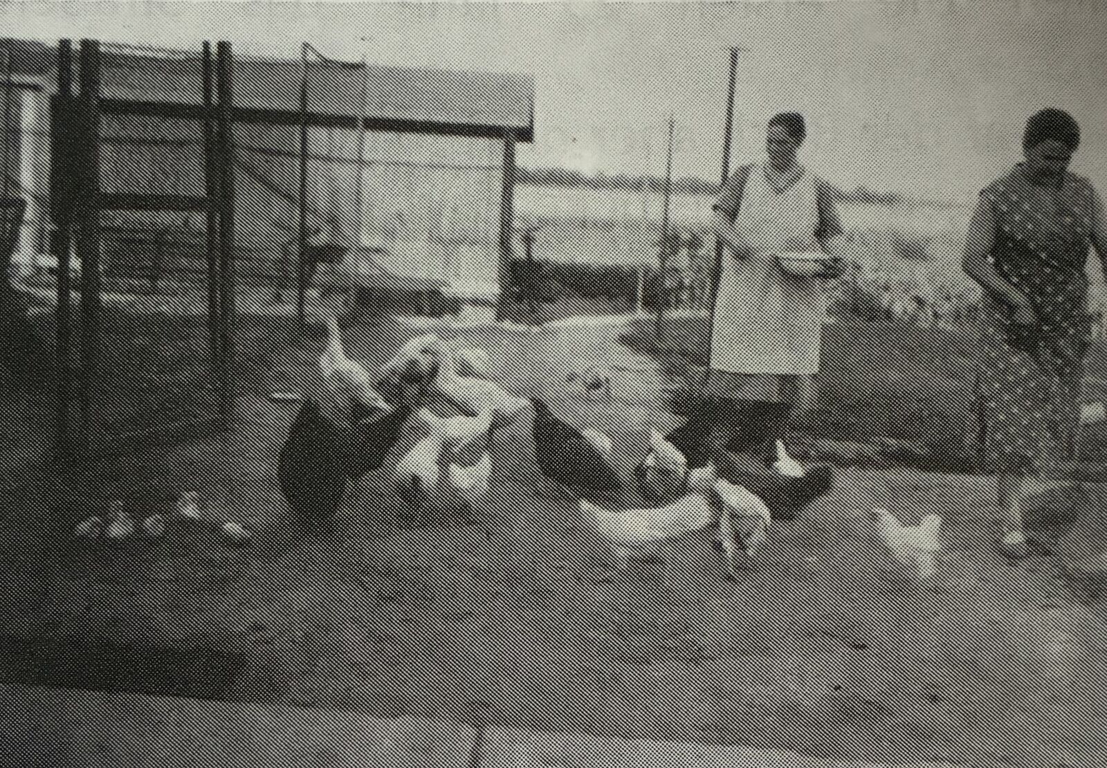 Arbeit der Siedlerfrauen