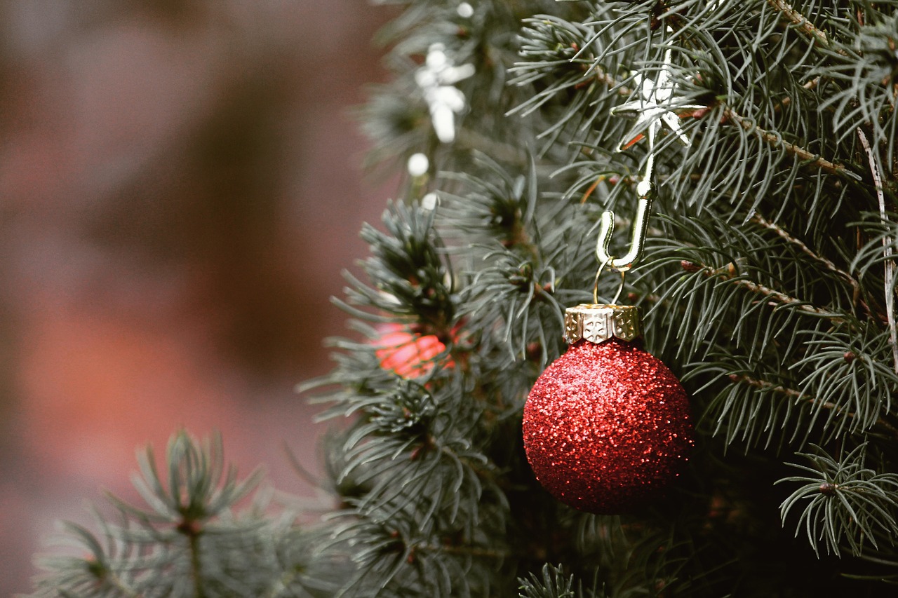 Weihnachtsbaum