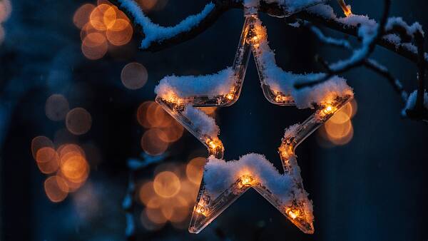 Themenbild: Weihnachtsstern am Baum Themenbild: Weihnachtsstern am Baum