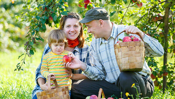Themenbild: Themenbild:Familie mit Obst im Garten