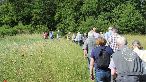 Themenbild: Wandernde Gruppe