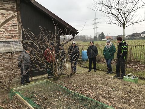 Linker Strauch 2018 - vor dem Schnitt