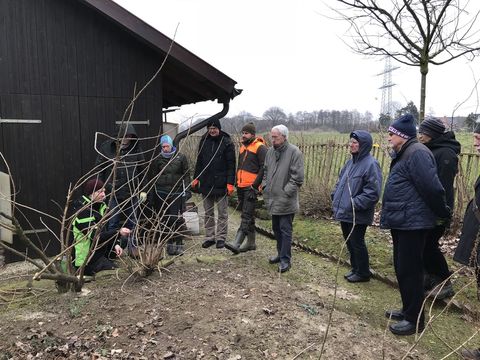 Gruppe 2 begutachtet den Erhaltungsschnitt 2018