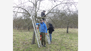 Anstellwinkel per Ellbogentest