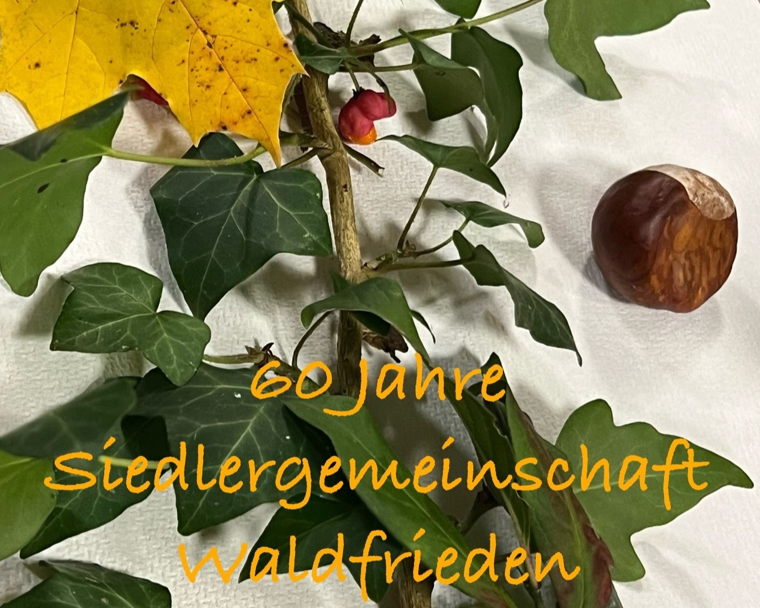 60 Jahre SG Waldfrieden