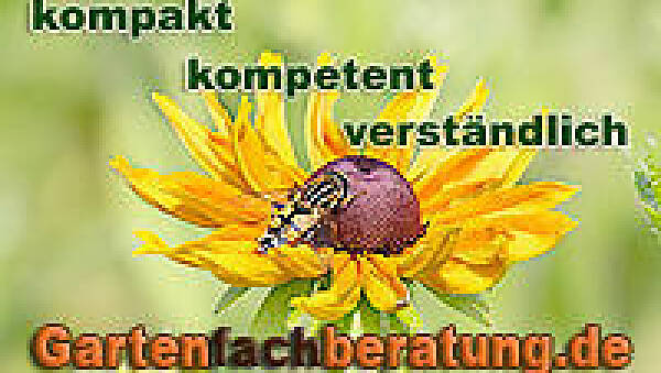 Themenbild: Titelbild Gartenberatung