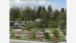 Botanischer Garten 1