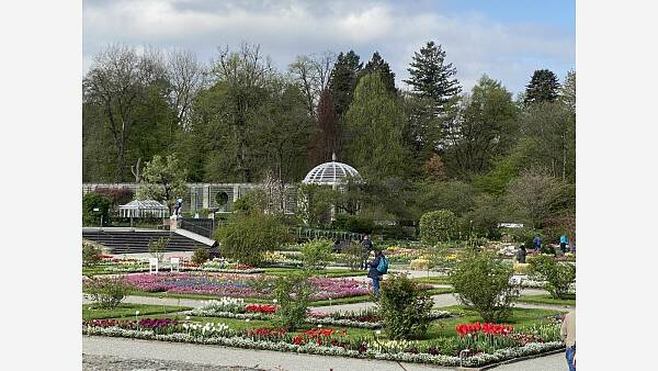 Themenbild: Botanischer Garten 1