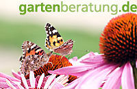 Gartenberatung